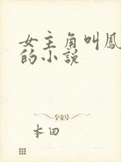 女主角叫凤倾月的小说