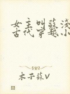 女主叫苏浅浅的古代穿越小说