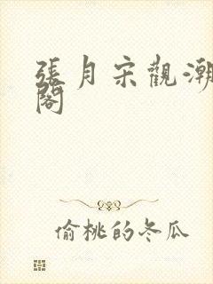 张月宋观潮笔趣阁