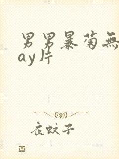 男男暴菊无套gay片