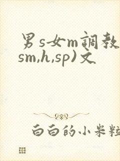 男s女m调教(sm,h,sp)文