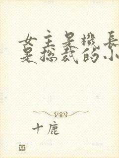 女主是机长男主是总裁的小说