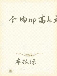 全肉np高h文