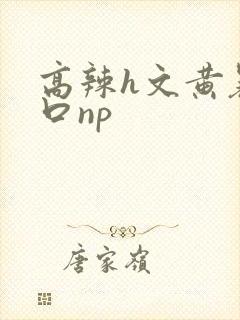 高辣h文黄暴粗口np