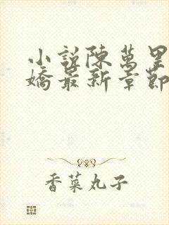 小说陈万里宋娇娇最新章节封面