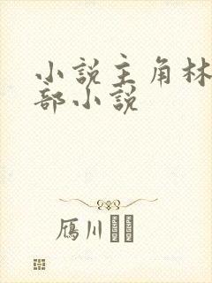 小说主角林凡全部小说封面