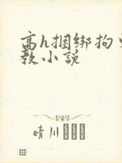 高h捆绑拘束调教小说