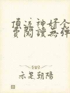 顶流神婿全本免费阅读无弹窗