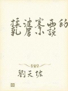 揉波塞西的大白乳房小说