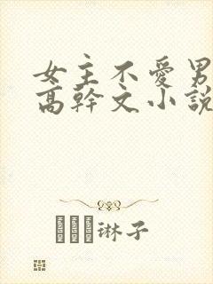 女主不爱男主的高干文小说封面