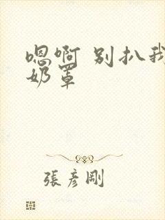 嗯啊 别扒我的奶罩封面