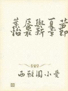 叶辰与夏若雪孙怡最新章节 小说