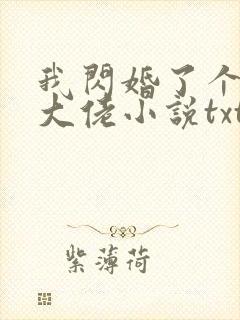 我闪婚了个财阀大佬小说txt