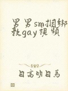 男男sm捆绑调教gay视频