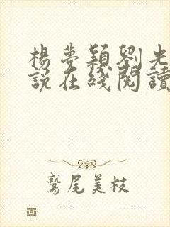 杨梦颖刘光达小说在线阅读