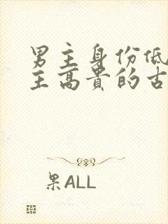 男主身份低微女主高贵的古言