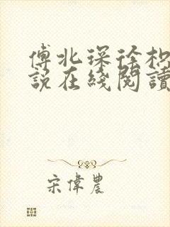 傅北琛徐枳晚小说在线阅读