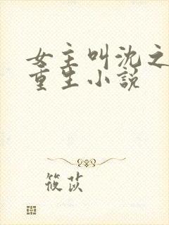 女主叫沈之念的重生小说