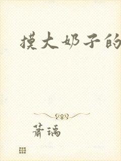 摸大奶子的小说封面