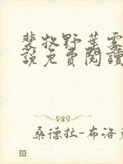 裴牧野叶雾染小说免费阅读最新章节