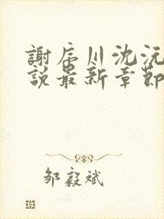 谢序川沈沅珠小说最新章节免费阅读