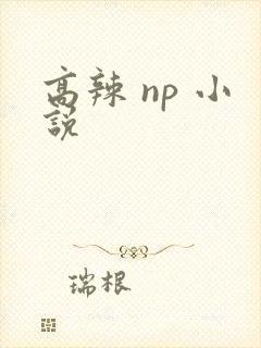 高辣 np 小说