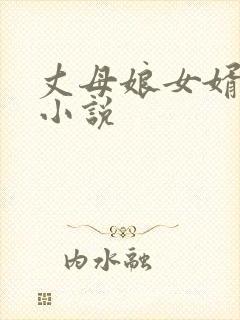丈母娘女婿伦理小说封面