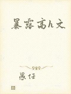 暴露高h文