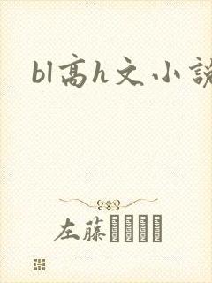 bl高h文小说封面