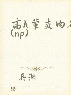 高h荤爽肉欲文(np)