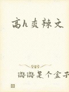高h爽辣文封面
