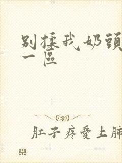 别揉我奶头嗯啊一区