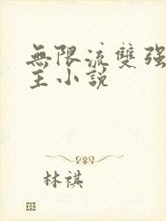 无限流双强双男主小说