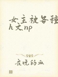 女主被各种调教h文np