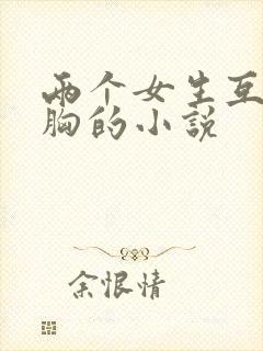 两个女生互相舔胸的小说封面