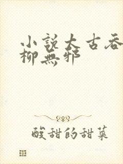 小说太古吞天诀柳无邪