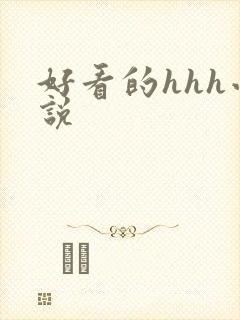 好看的hhh小说