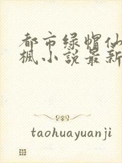 都市绿帽仙帝陈枫小说最新章节更新