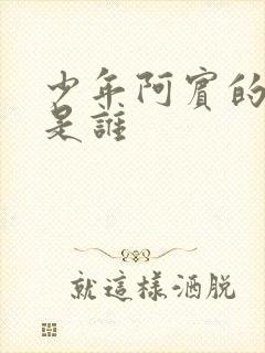 少年阿宾的作者是谁