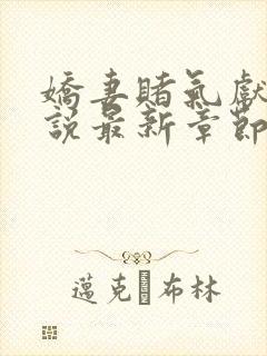 娇妻赌气献身小说最新章节免费阅读