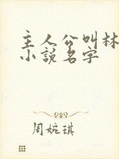 主人公叫林辰的小说名字