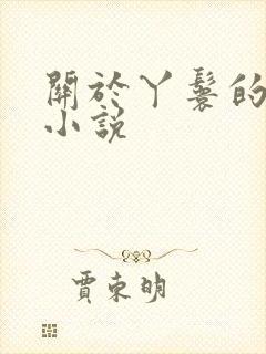 关于丫鬟的古言小说封面