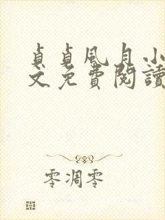 贞贞风月小说全文免费阅读最新章节更新封面