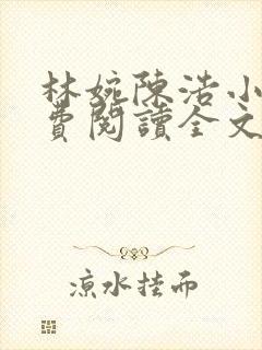 林婉陈浩小说免费阅读全文最新章节