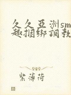 久久亚洲sm情趣捆绑调教