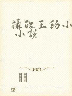 摄政王的小闲妻 小说