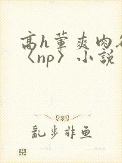 高h荤爽肉欲文〈np〉小说