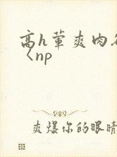 高h荤爽肉欲文〈np