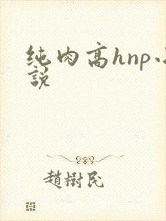 纯肉高hnp小说