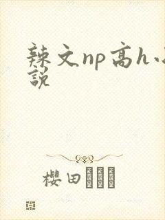 辣文np高h小说封面